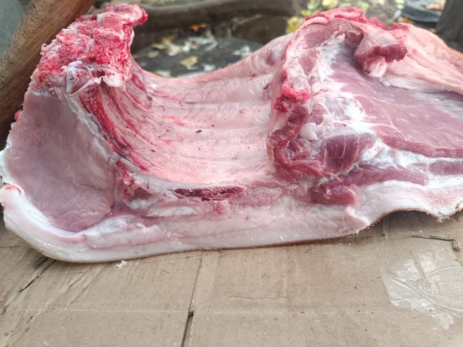 продам туші,пів туші свинини