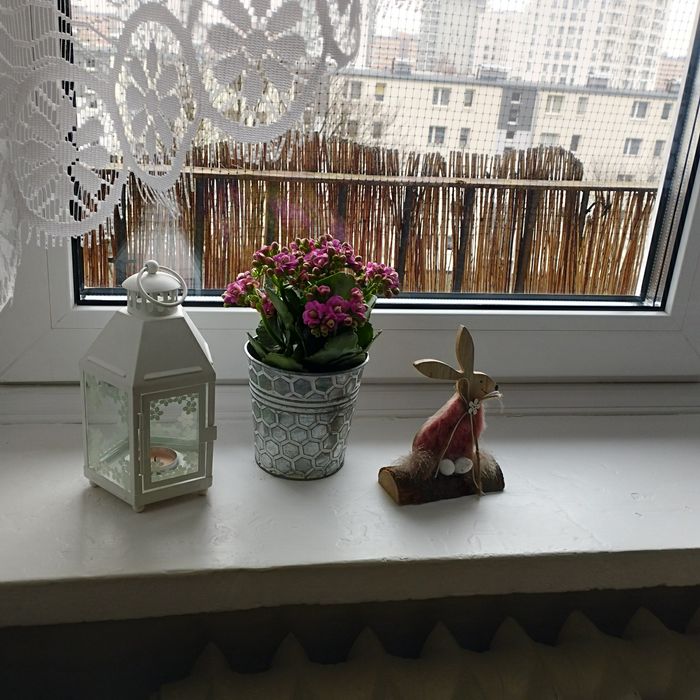 Wynajmę apartament blisko morza