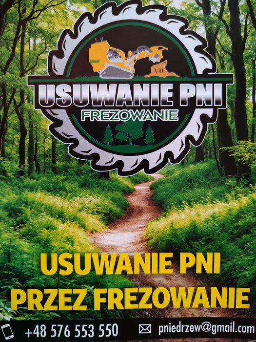 Usuwanie pni drzew frezowanie pni wycinka