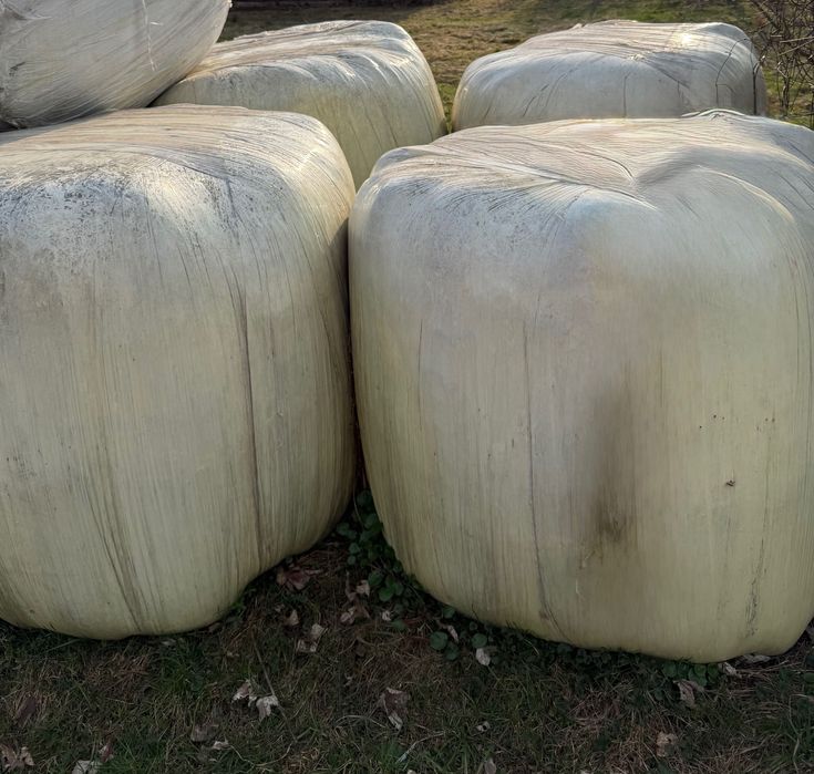 siano/słoma/bale