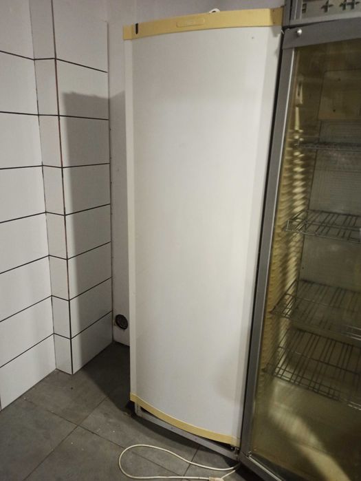 Zamrażarka stojąca półkowa