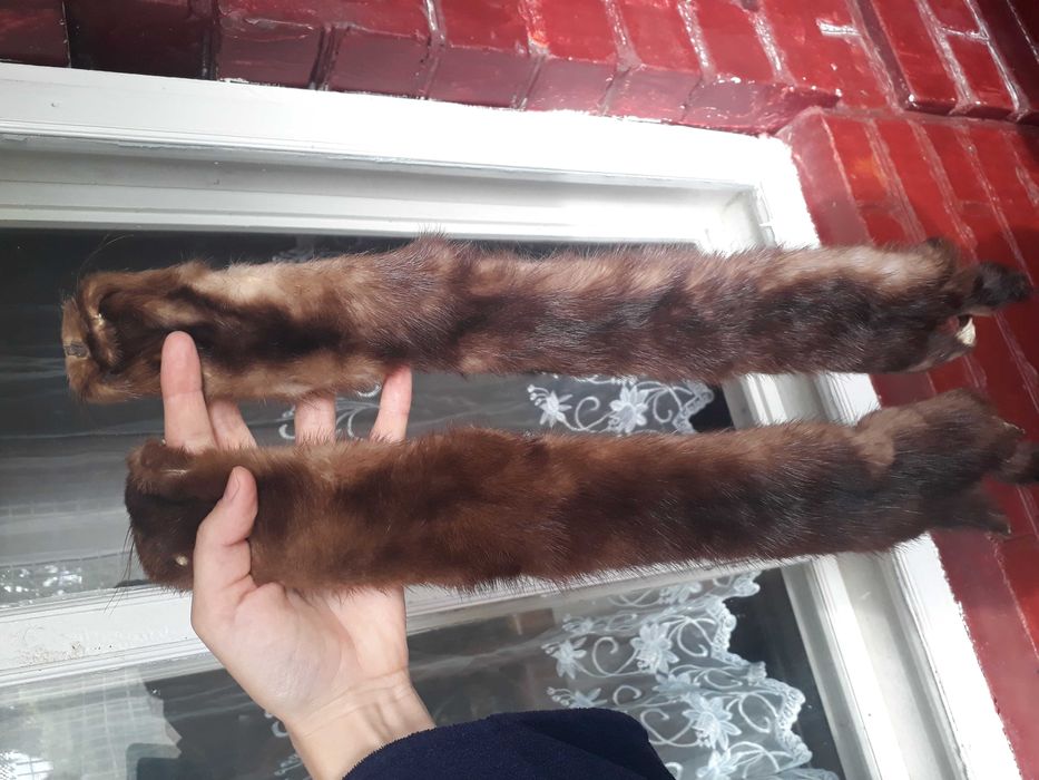 Хутро норки, натуральне. Нове. Дуже красиве, світло-горіхове