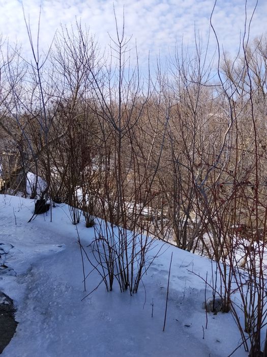 Продам дом в центре Новой Водолаги