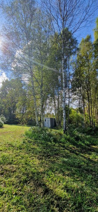 Działka nad morzem