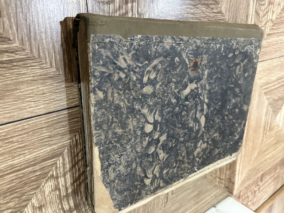 Wiarus czasopisma polrocznik 1932