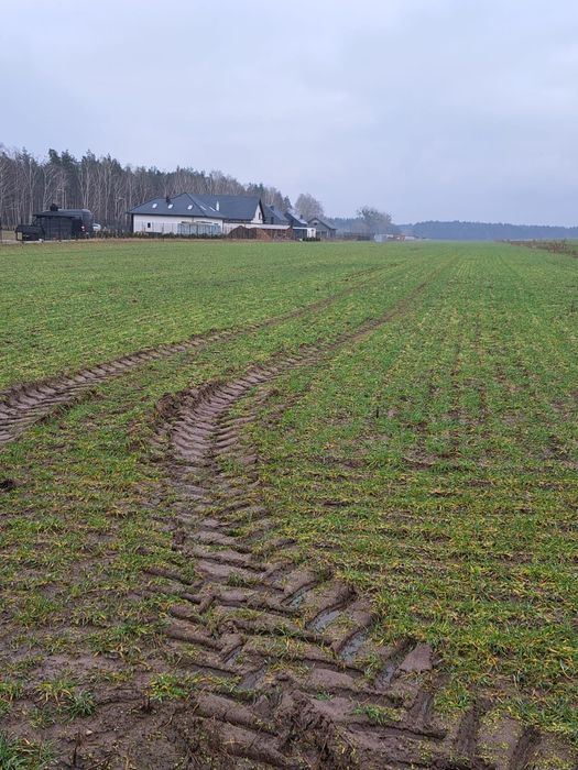 Zdjęcie 2