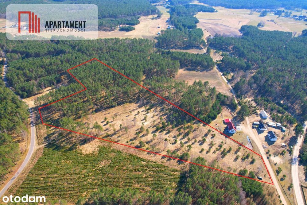 Działka z potencjałem inwestycyjnym na Kaszubach - Ansicht 2