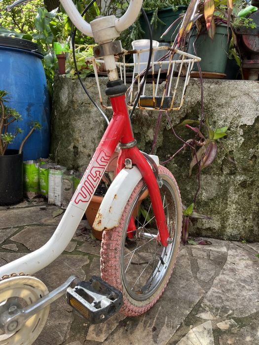 Bicicleta Vilar Roda 16