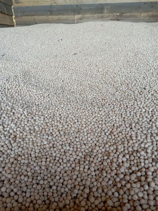 Горох Ессо посевной материал