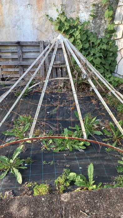 Cúpula de ferro (Antiguidades)