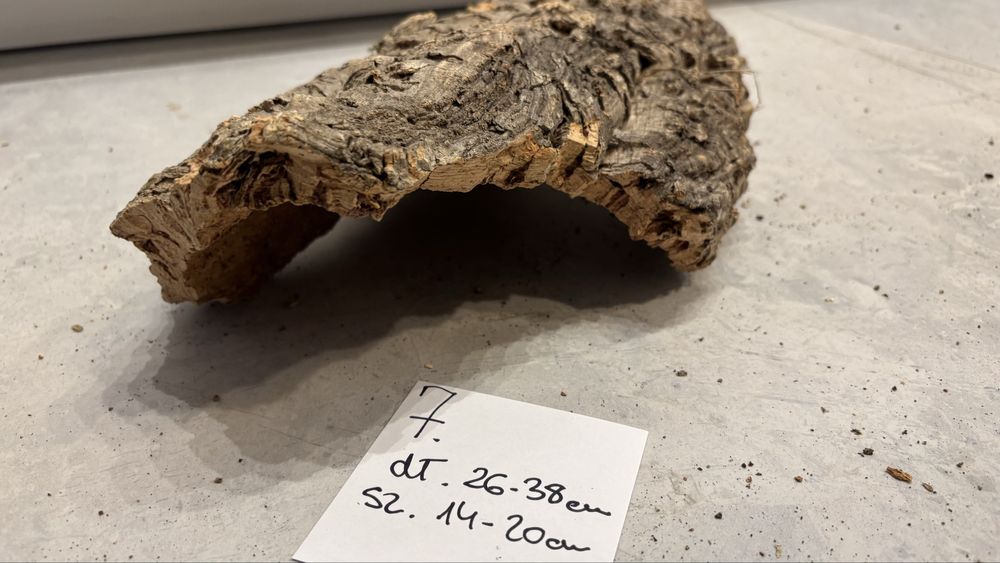 Korek, korek do terrarium, korek terrarystyczny [7]