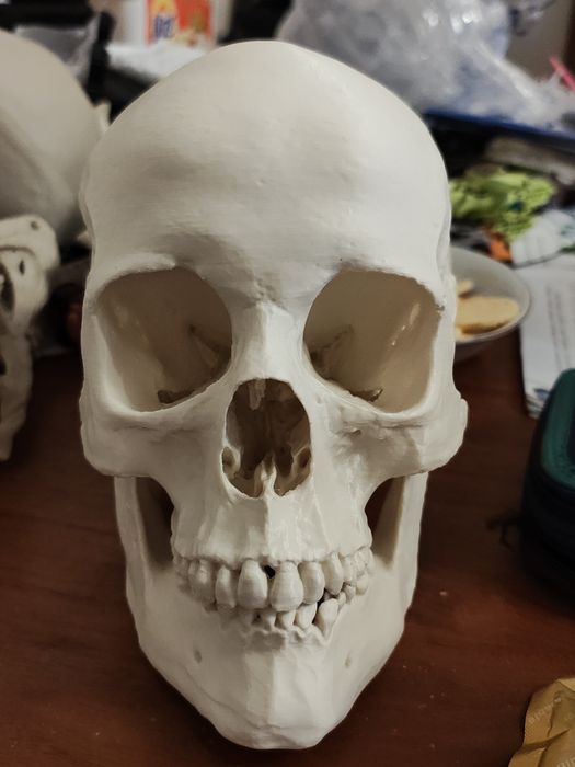 Model 3d wydruk czaszka ozdoba