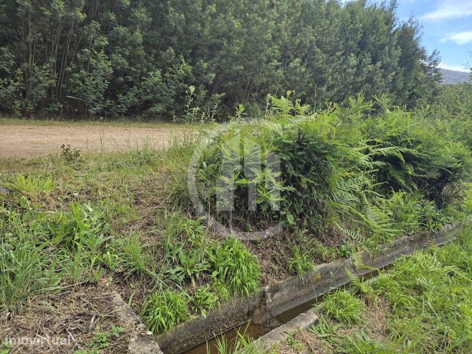 Terreno agrícola nas Cortes do Meio - Covilhã