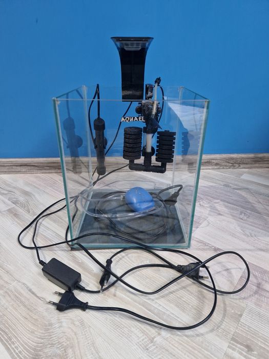 Akwarium optiwhite 20l krewetkarium