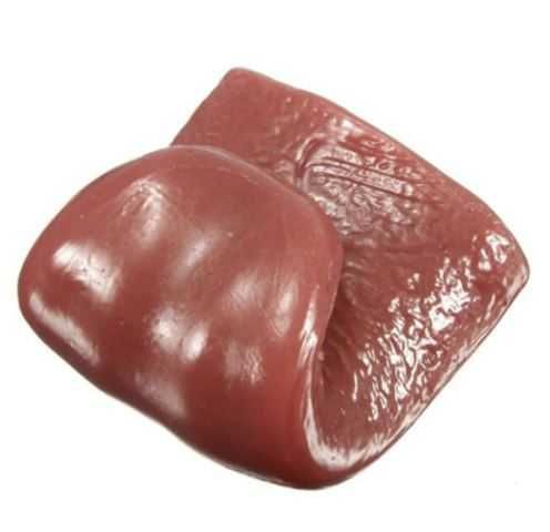 Модель щелепи з зубами+ силіконовий язик
