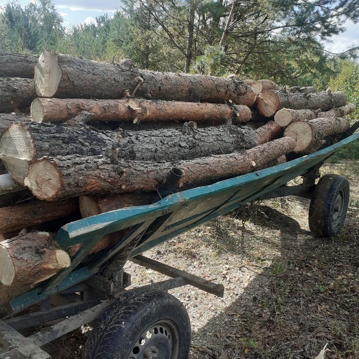 Продам дрова 650.