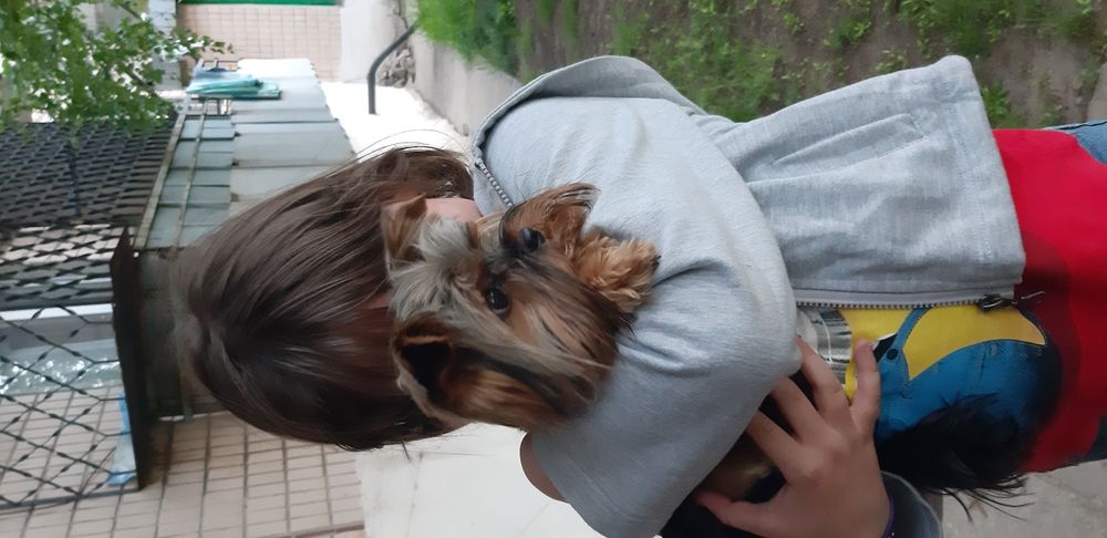 Йорк вязка  кабеля