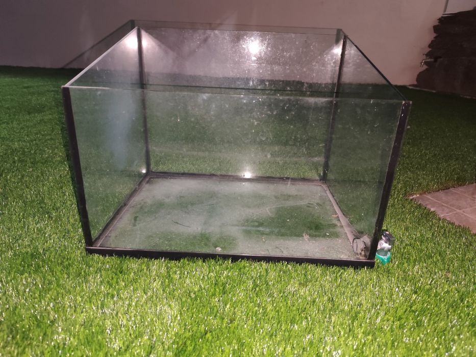 Aquário para tartaruga grande com torneira