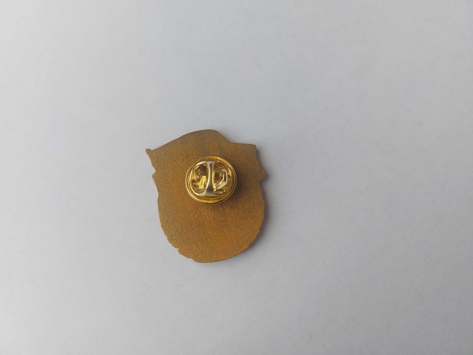 Значок-брошь с надписью Д Н Р