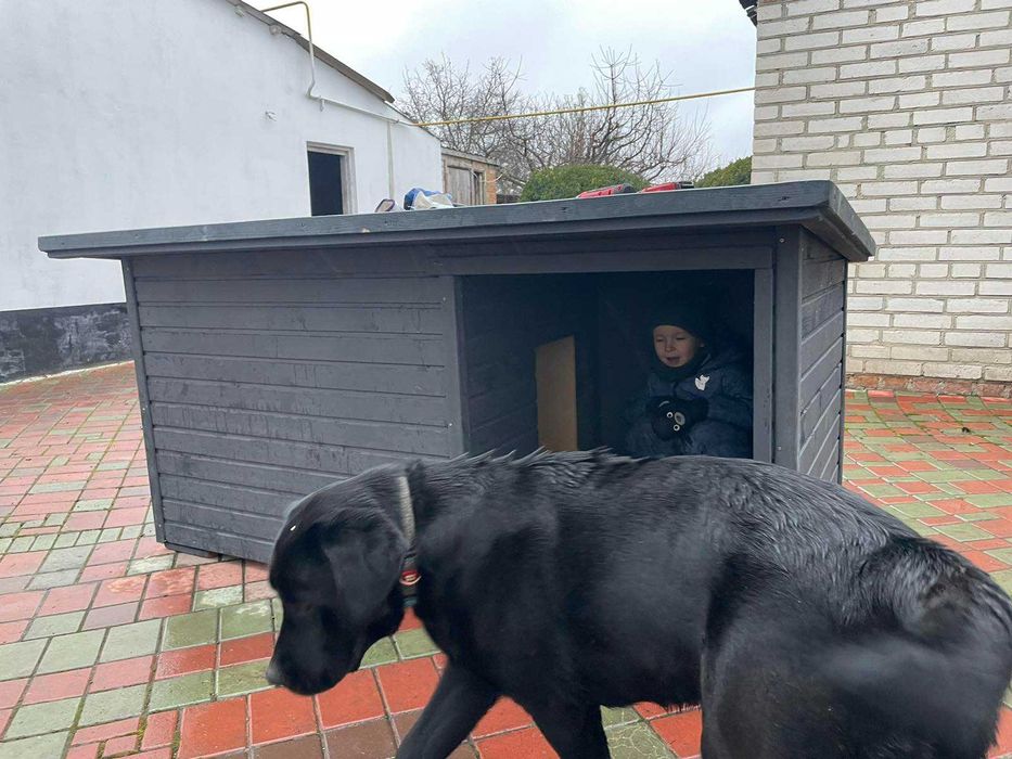 Будка для собаки | Утеплені 95, 107см | Вівчарки, Лабрадора, Алабая