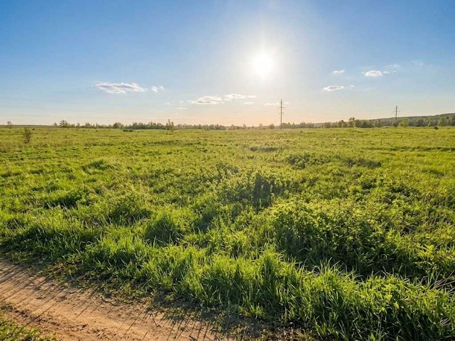 Продаж земельної ділянки 1,5982 га у Мироцькому !