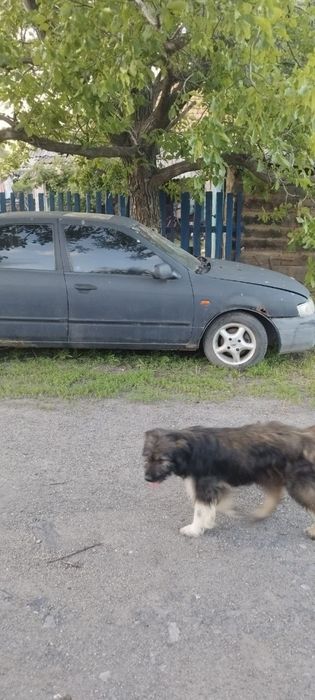 Продам Nissan p11