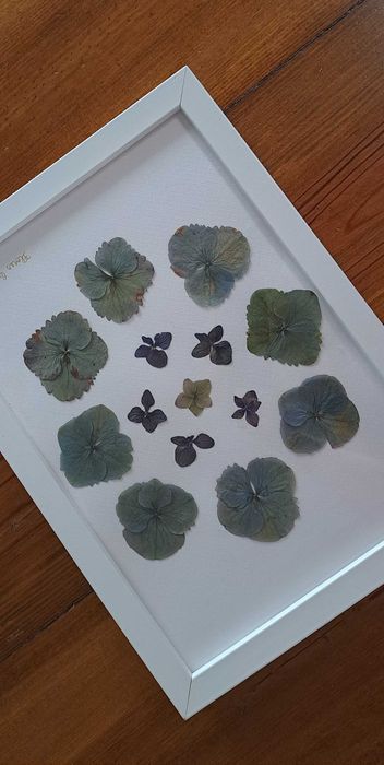 Moldura Coleção Açores- Hortênsia