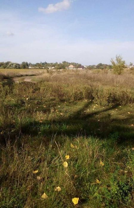Земельна ділянка 12 соток біля річки Південний Буг (Летичів)
