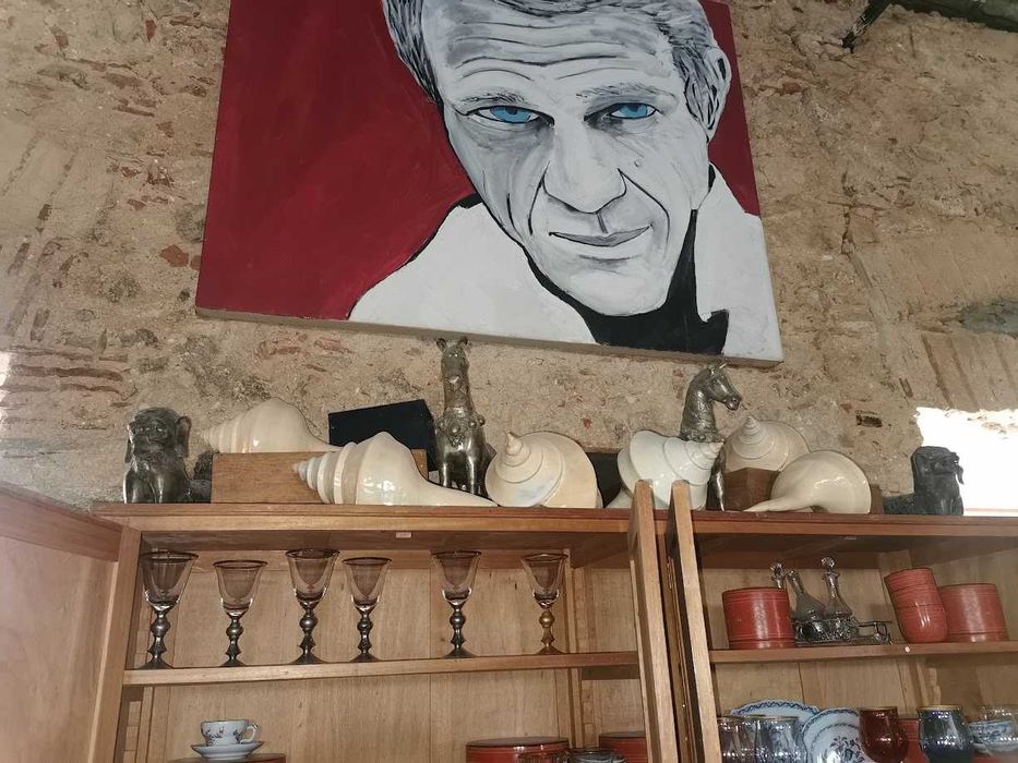 Búzios verdadeiros