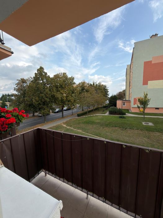 Mieszkanie 2-pokojowe po generalnym remoncie / I piętro / balkon / piwnica
