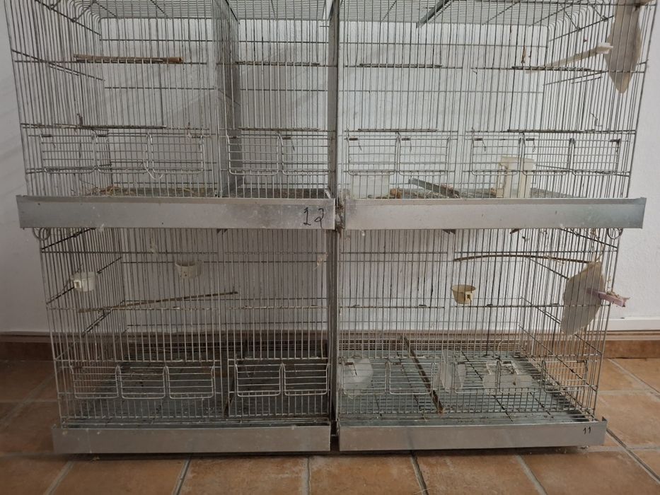 Gaiolas zincadas