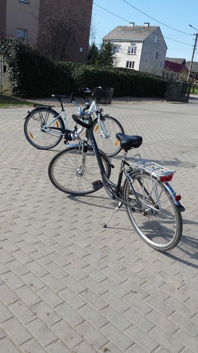 Rower damka Pegasus 8 biegów