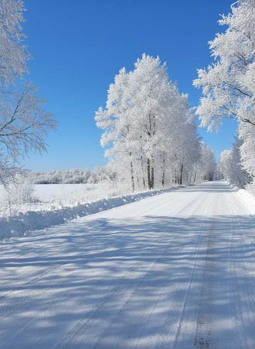 Продаж ділянки 10сот під дачну забудову. Фасад-25м. с.Улянівка. ID:745