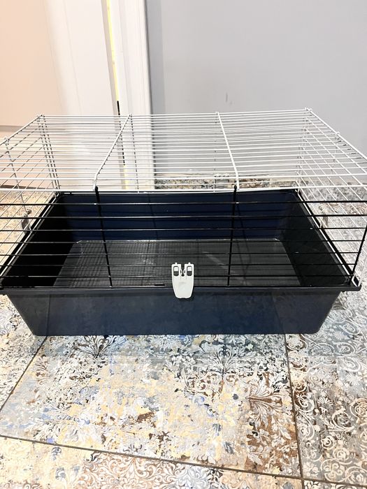 Klatki dla swinek morakich