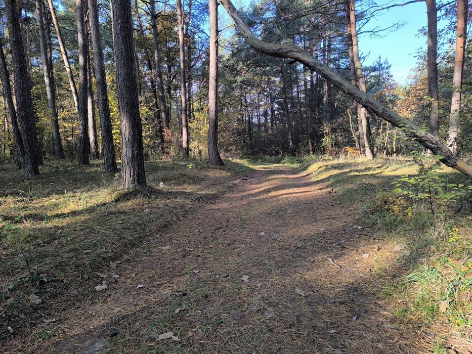 Piękna działka leśno rekreacyjna