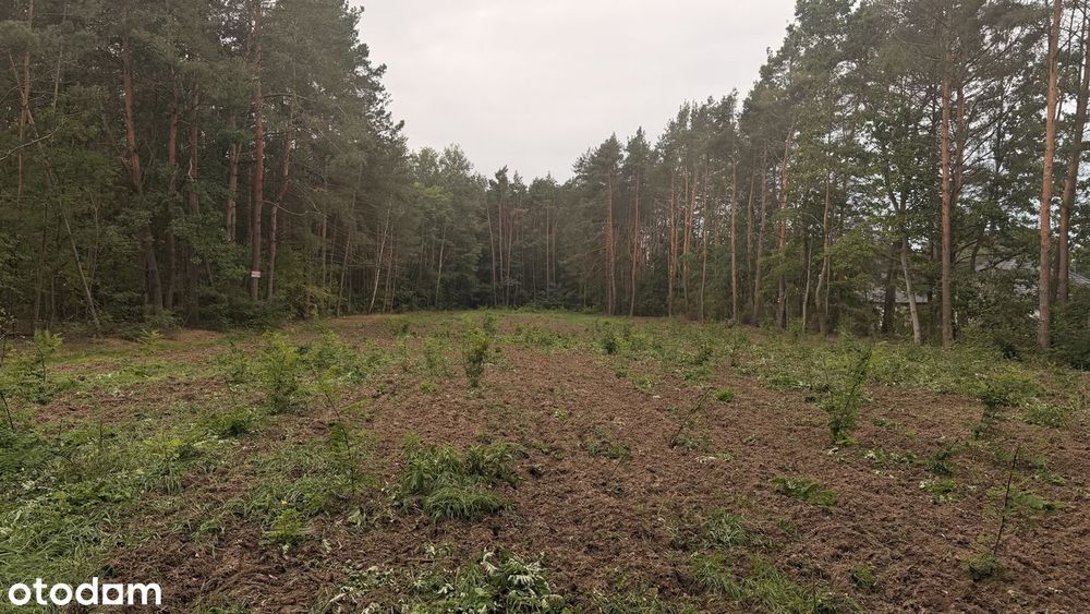 Działka budowlana 1000 m², Karolew, gm. Dąbrówka