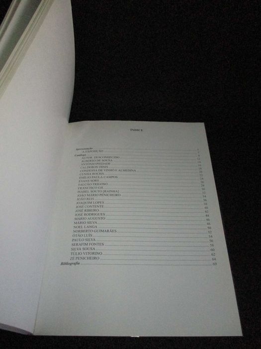 Livro Figueira Um Século de Pintura Teresa Folhadela Isabel Henriques