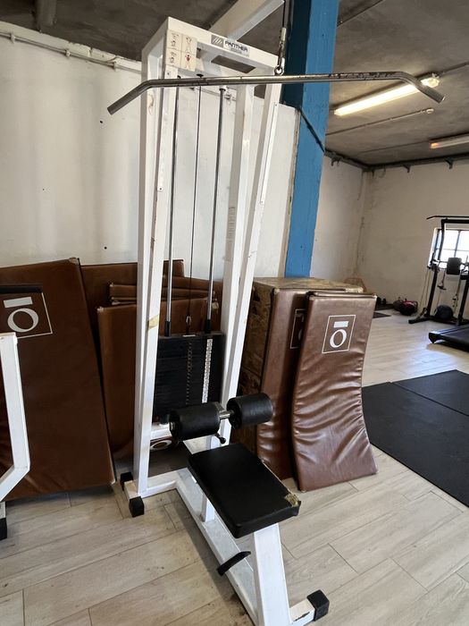Lat Pulldown  - Panther