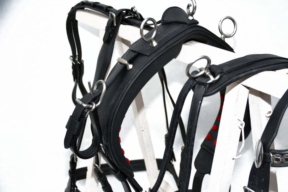 Uprząż singlowa na jednego konia roz. full