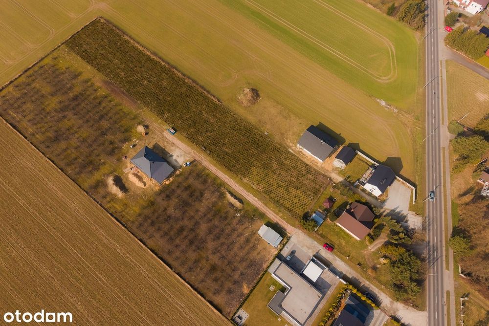 3 działki obok siebie: usługowa i 2 budowlane, różne warianty zakupu