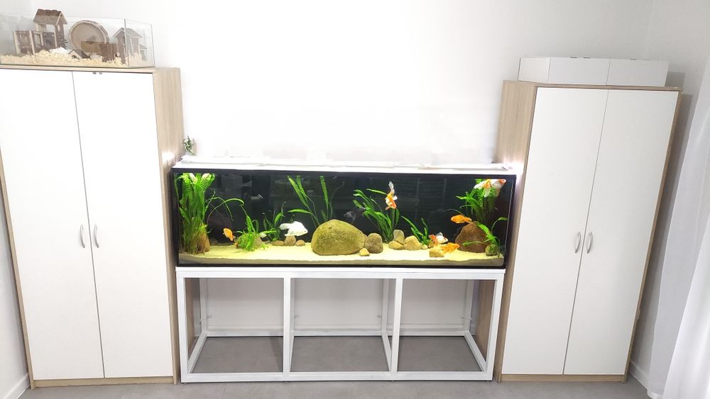 Akwarium 200x40x60 480L