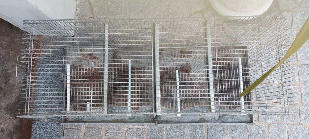 Gaiolas  agapornis e de canarios