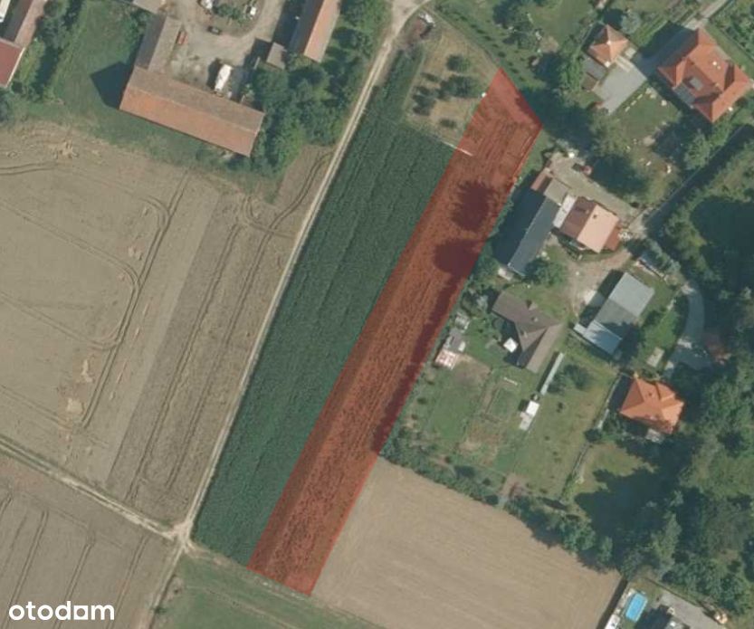 Na sprzedaż działka rolno-budowlana – Olbrachcice Wielkie
