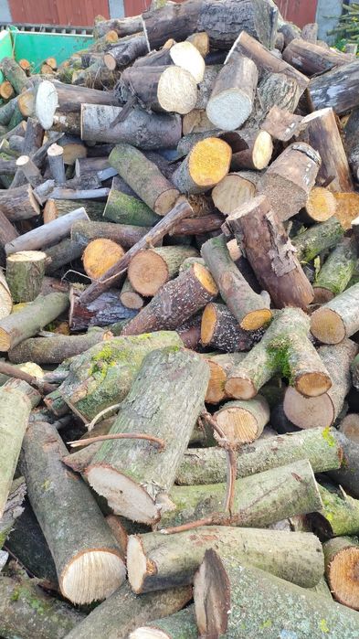 Drewno opalowe sosna, liściaste mieszane