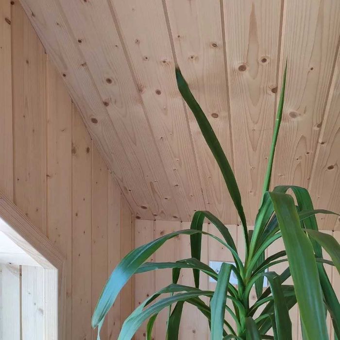 ВАГОНКА смерека різних розмірів: наявність, склад, доставка