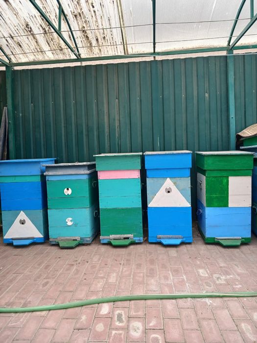 Продам вулики б/ у