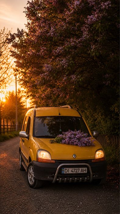 Продам Renault kangoo