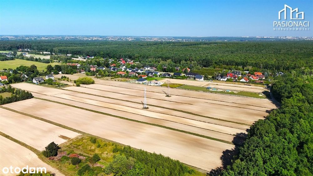 Działka rolna Prawiedniki-Kolonia - 4400 m² - Widok 4