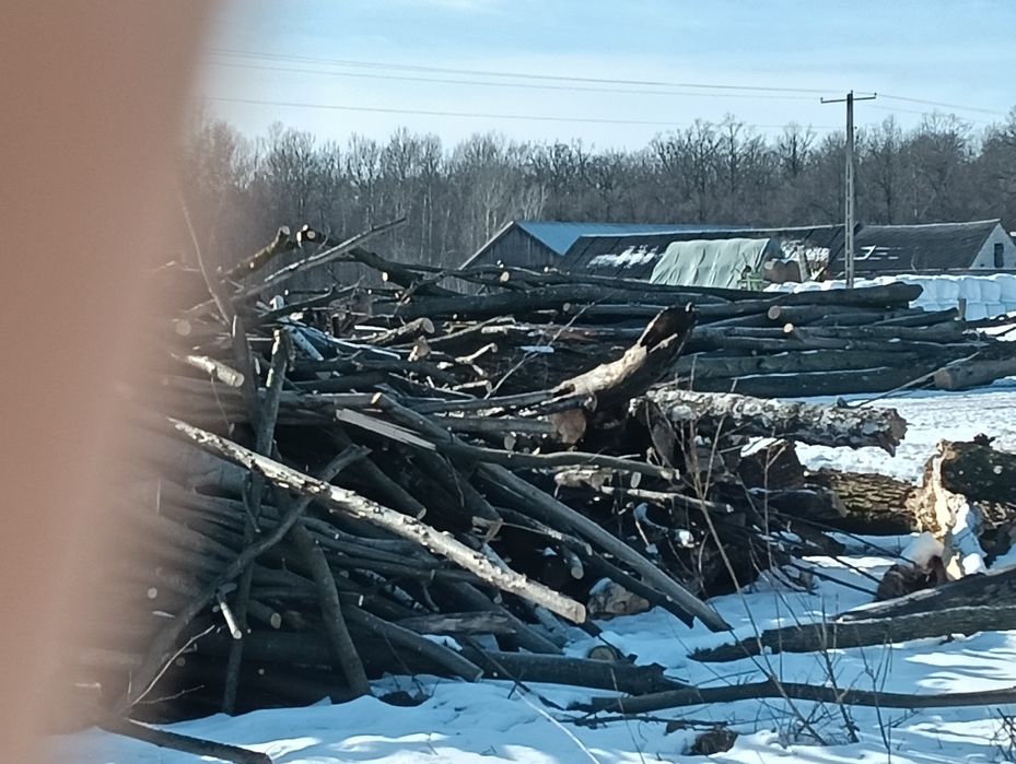 Biomasa 2000mp lisciasta