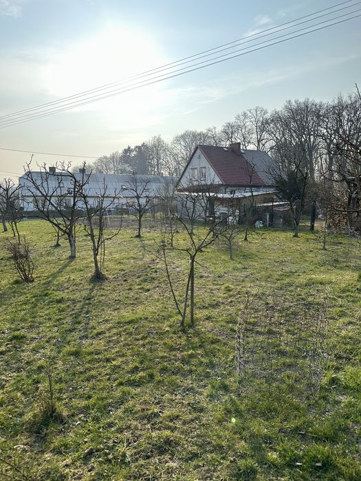 Dom bliźniak 80 m2 + działka 660 m2 k. Radowa Małego